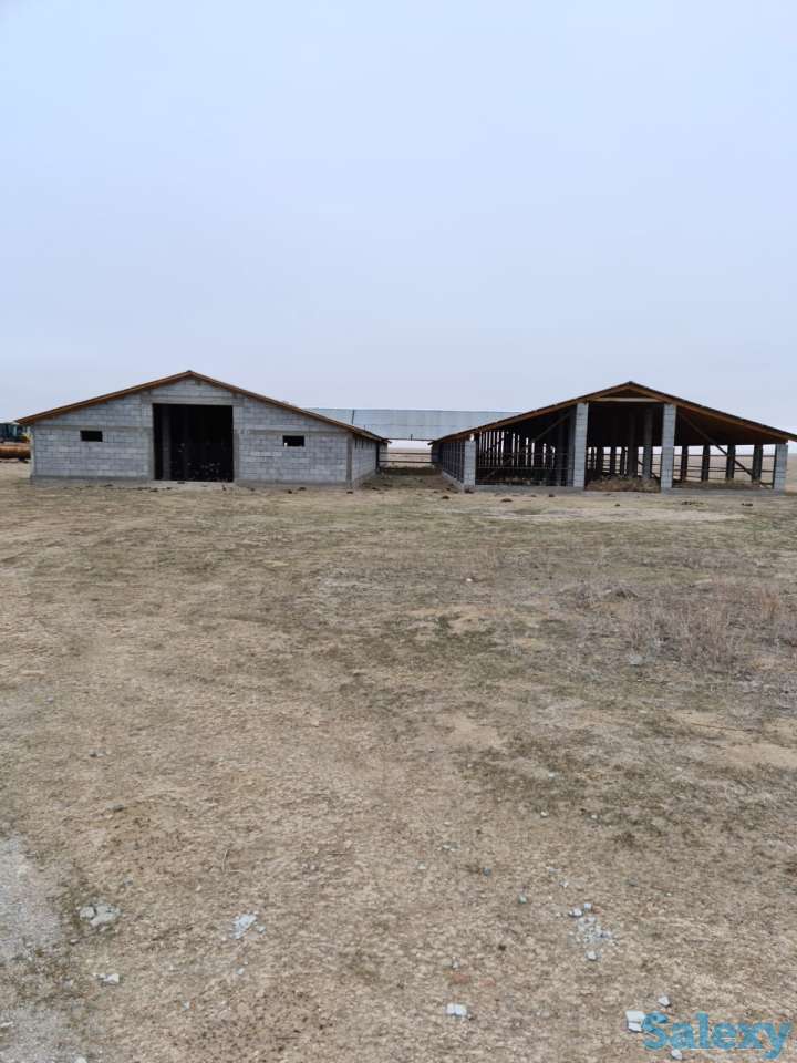 Фазенда (ферма), Капчагай-Курты 25 км, фотография 5