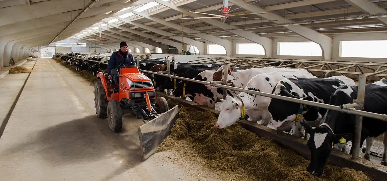 Прродем дейсвующий  животноводческий комплекс, фотография 2