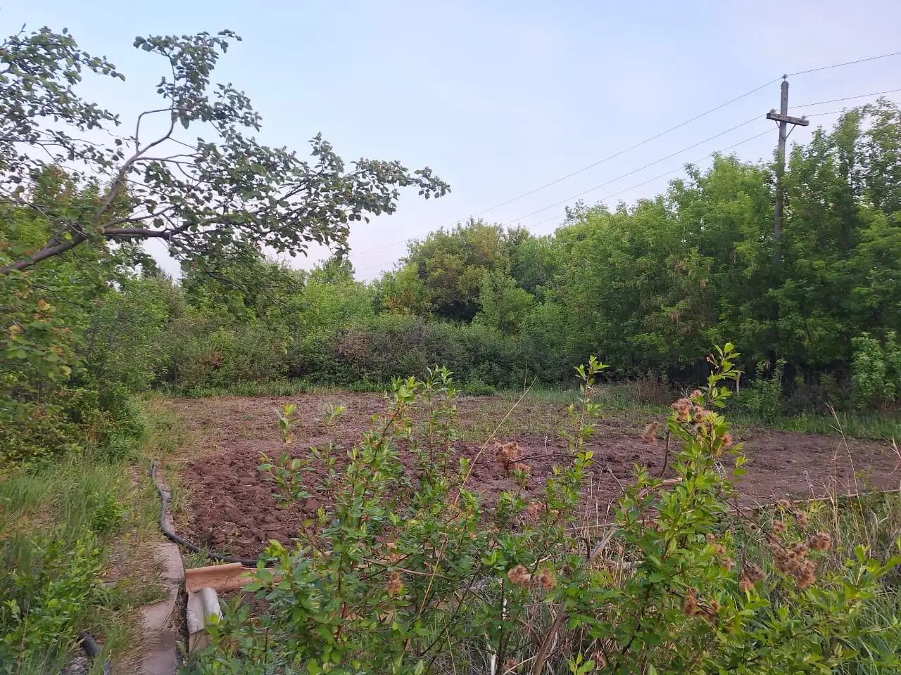 продаю дачу р-он Сабурханской ЦОФ, ДО Энтузиаст, фотография 3