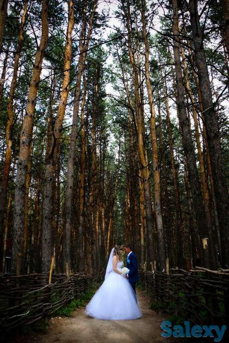 Профессиональная  Фото и Видеосъемка, фотография 6