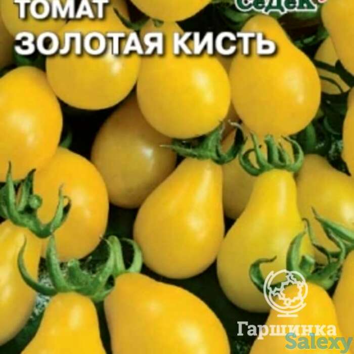 Семена Томат Золотая кисть, фотография 1