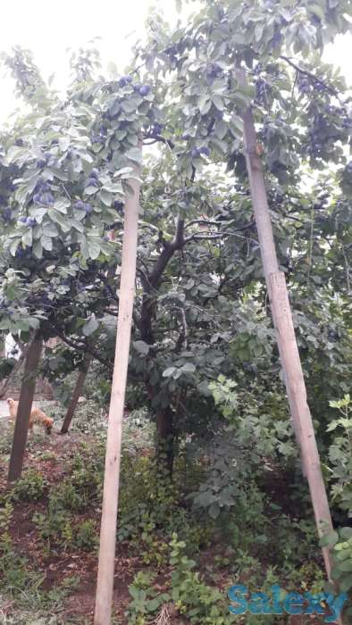 продам или обменяю частный дом, фотография 3