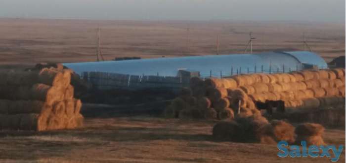 Приглашение на сотрудничество с Крестьянским хозяйством, фотография 2