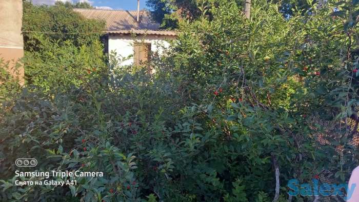 Продется дом с делимым участком 12,6 соток, Г. Нур-султан , Алматинский район , капал д.19, фотография 2