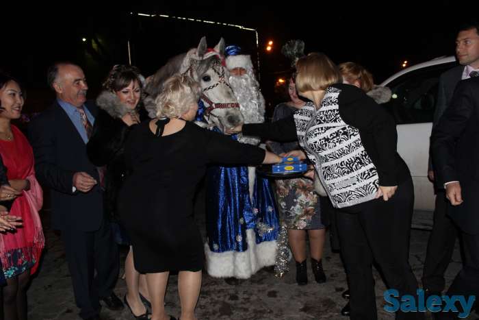 аренда коня, фотография 3