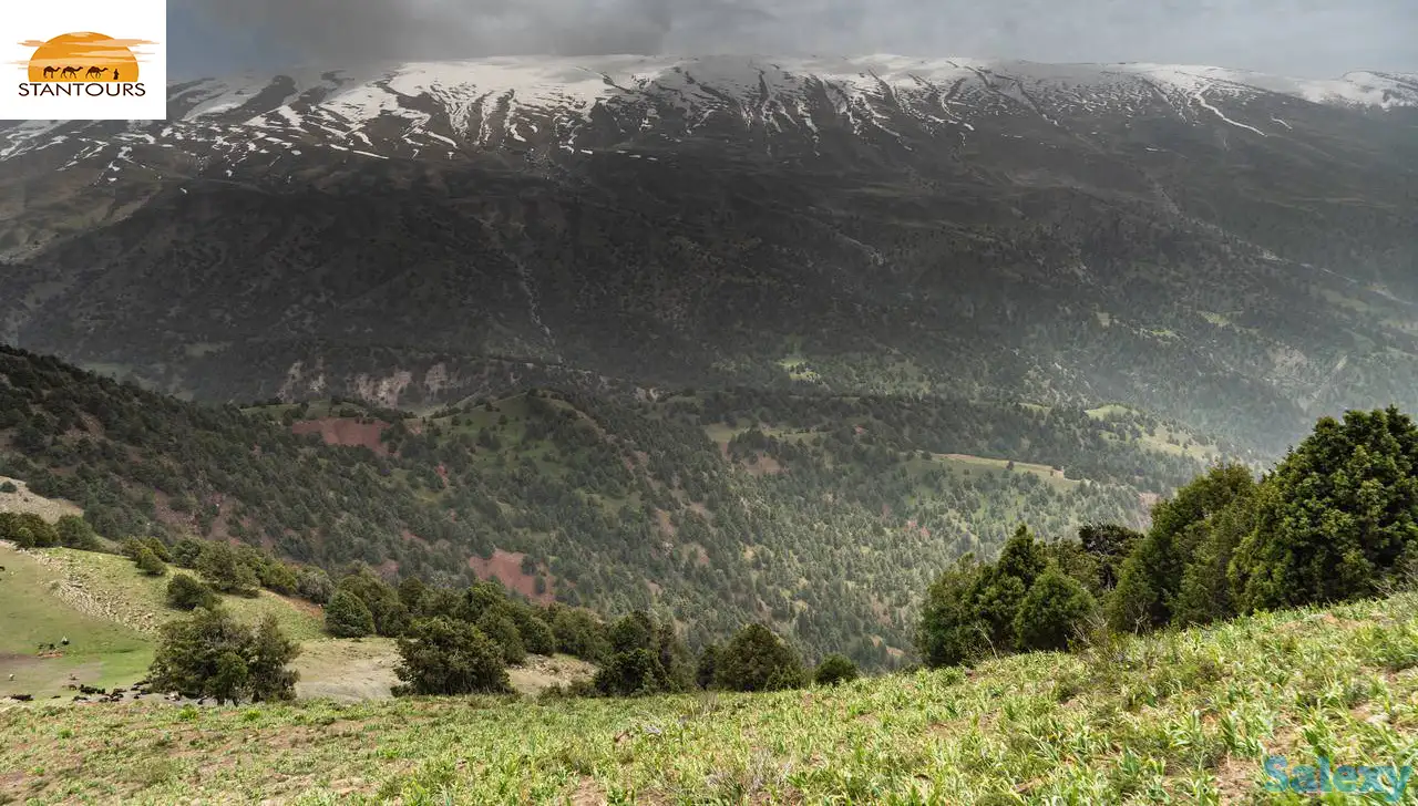 Классический тур по Узбекистану и путешествия / Uzbekistan Classical Tour & Travel, фотография 11