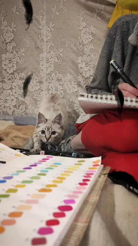 Отдам в добрые руки, фотография 2