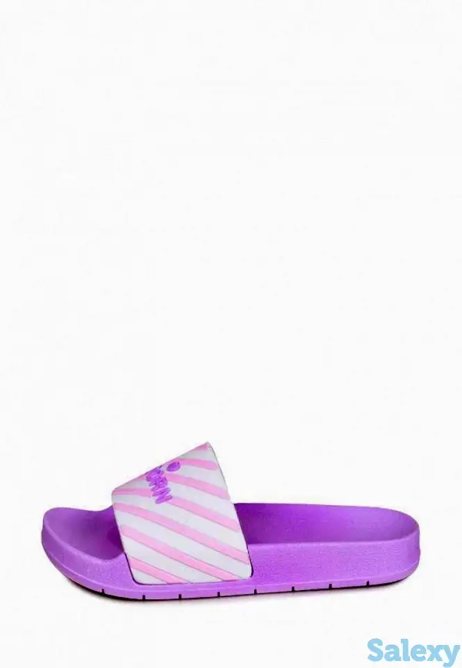 Сланцы t.taccardi, фотография 1