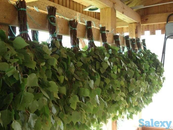 Продам банные веники оптом!, фотография 1