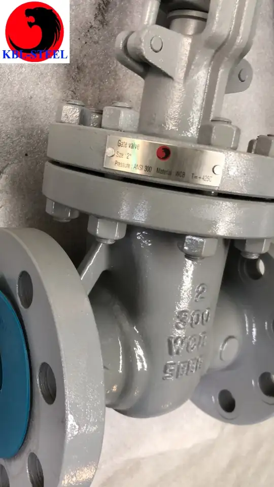 Задвижки клиновые ASME API Gate valves ASME API, фотография 7