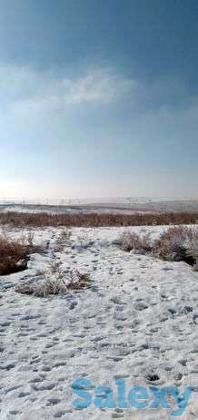 Обмен участок на авто!! Nissan, фотография 1