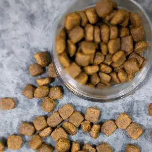 Комбикорм для собак Премиум класс, фотография 2