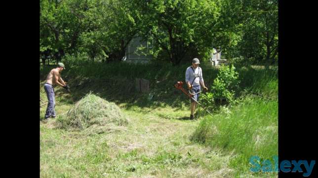 Покос Стрижка травы, фотография 1