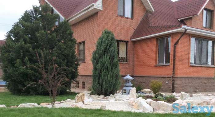 Сад мечты на вашем участке!, фотография 5