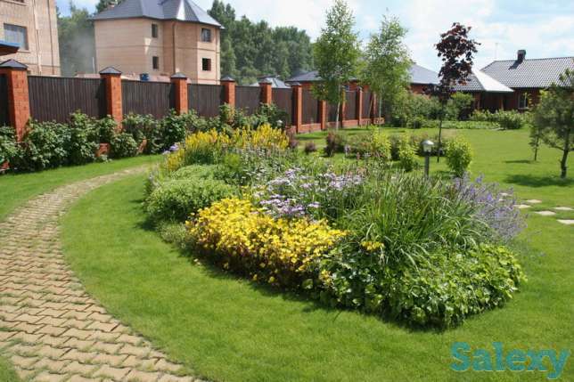 Озеленение благоустройство участка, фотография 1