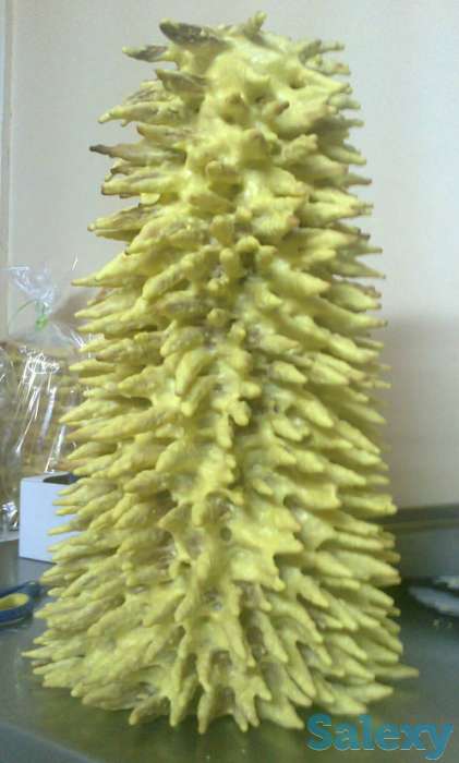 Печи для тортов Баумкухен  или  Шакотист, фотография 2