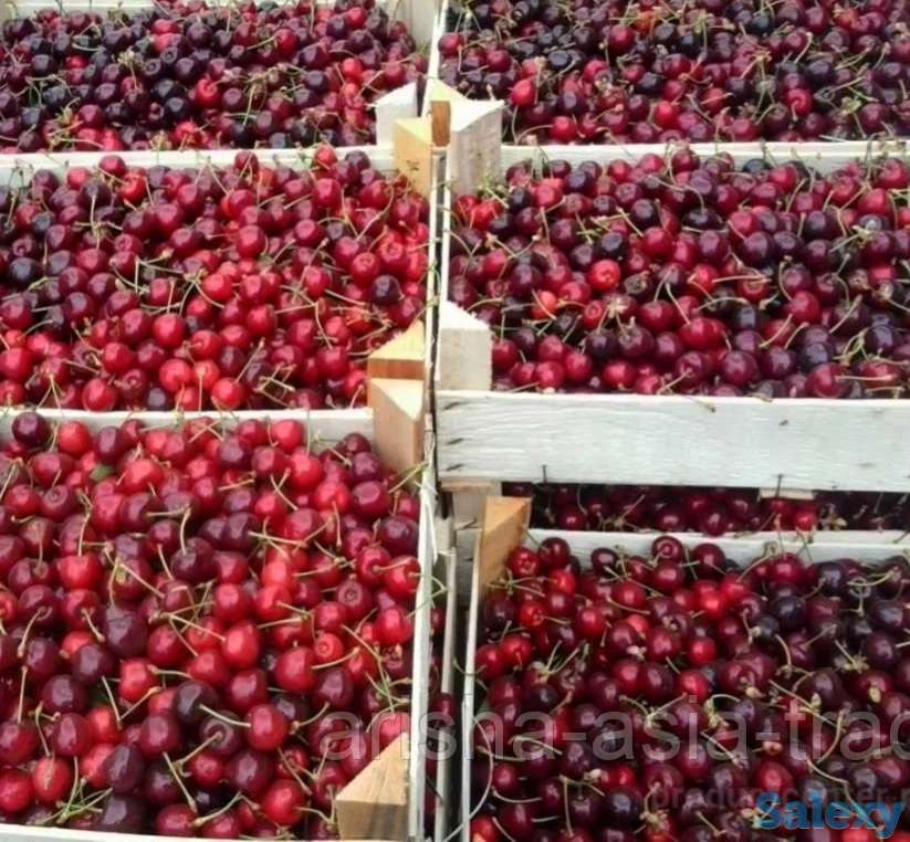 Черешня колированная (ягода)., фотография 1