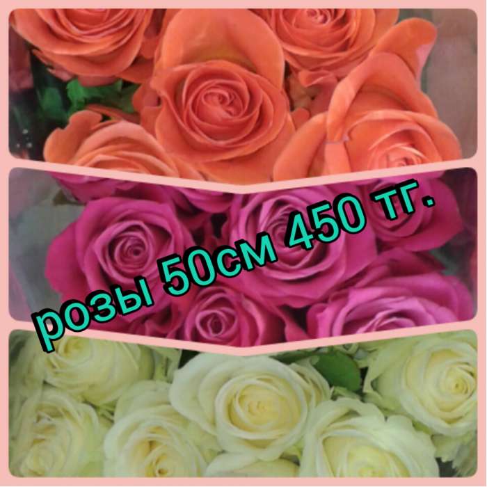 Цветочный мир 