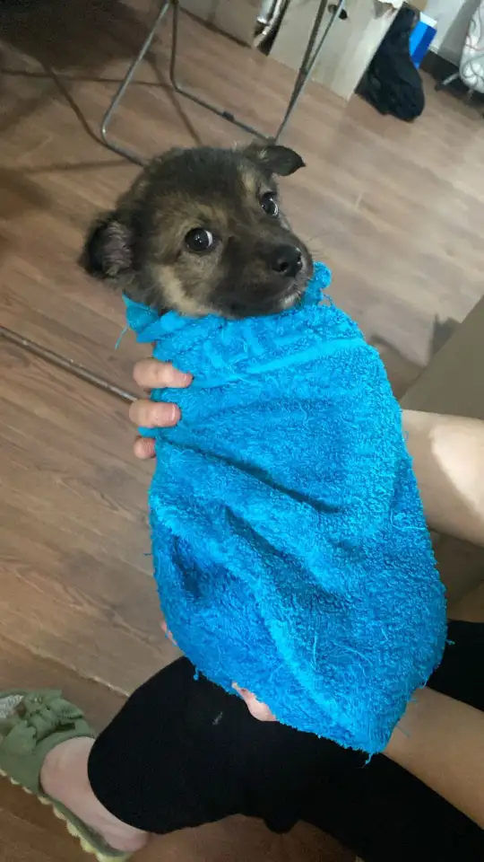 Забери меня к себе, Добрый человек, фотография 7