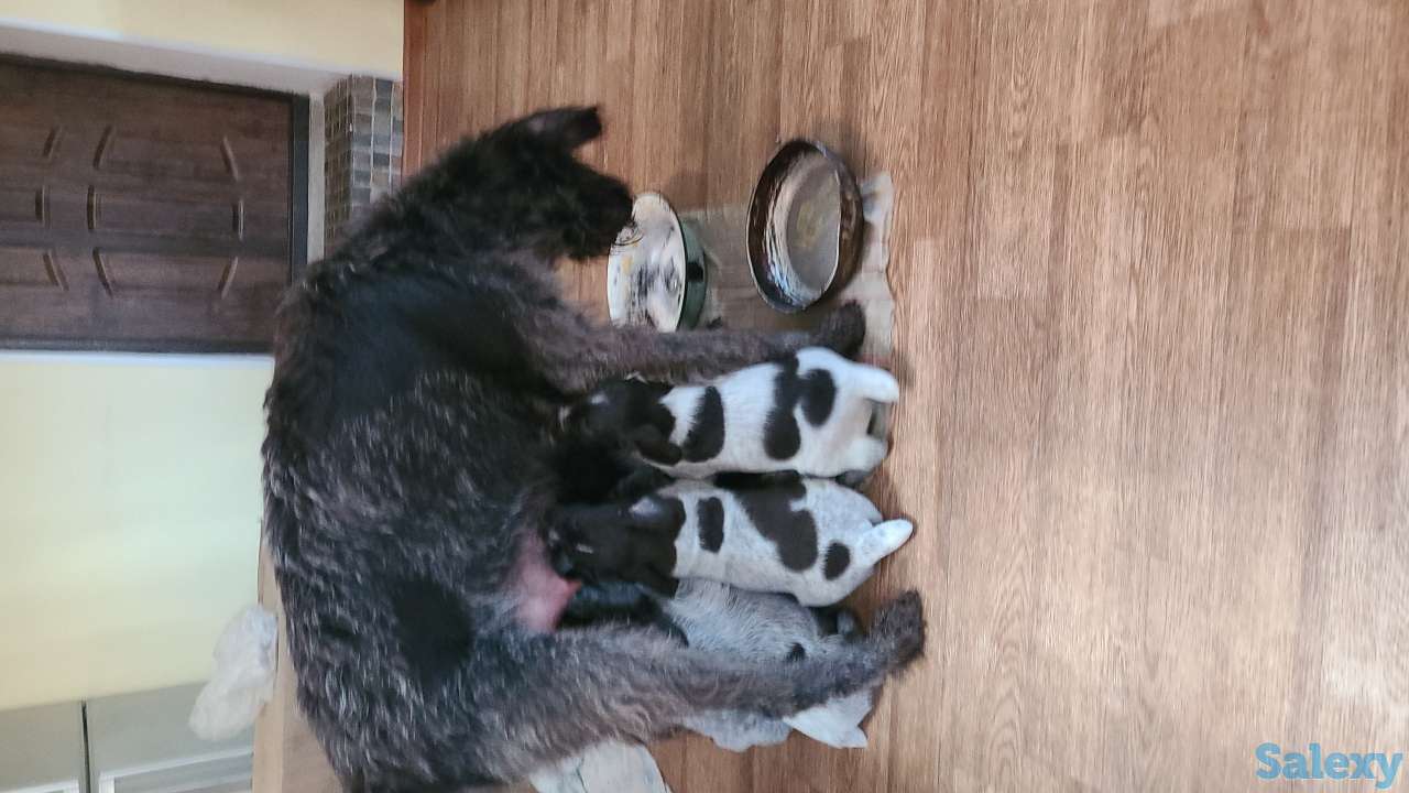 Продам, фотография 1