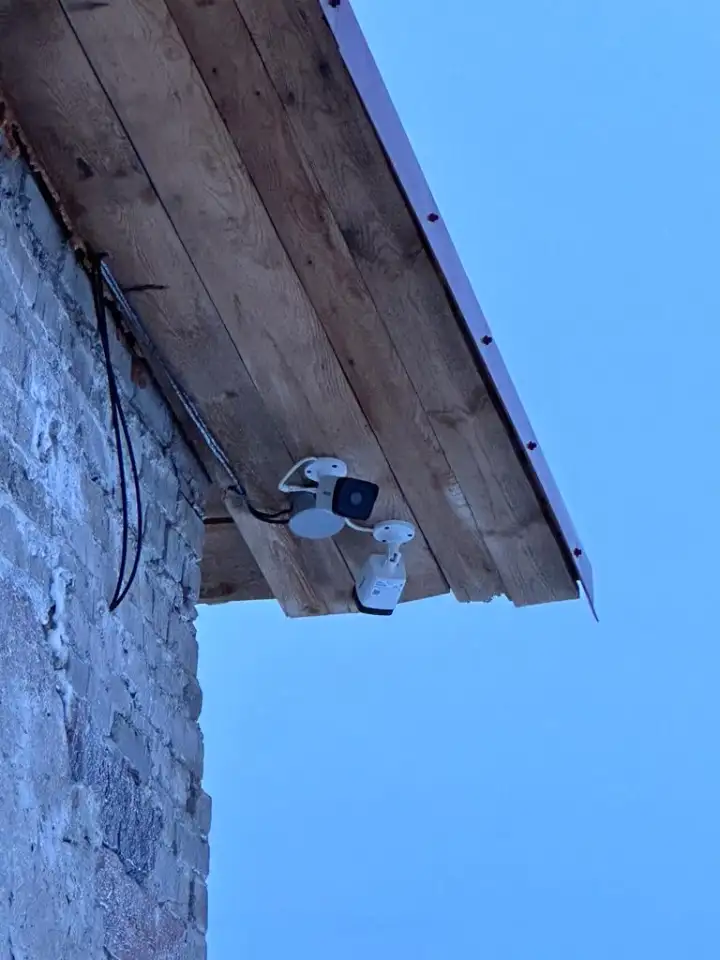 Продается готовый бизнес ферма по производству перепелиных яиц в Акмолинской области, фотография 7