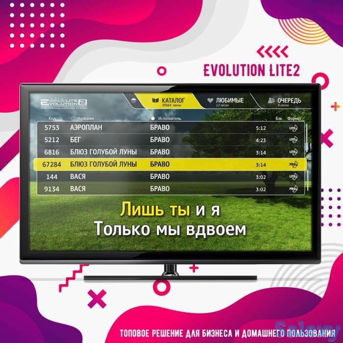 Караоке Evolution Lite2 топовое решение для бизнеса и домашнего пользования, фотография 4