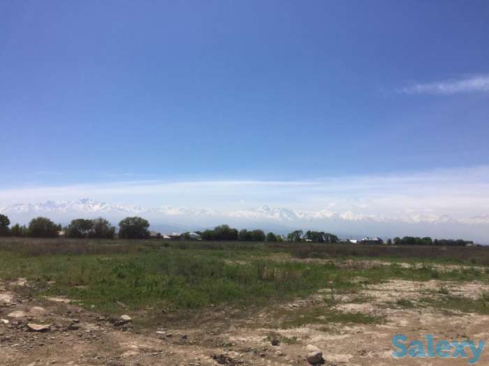Продам землю КХ, Илийский район, посёлок Ынтымак, фотография 2
