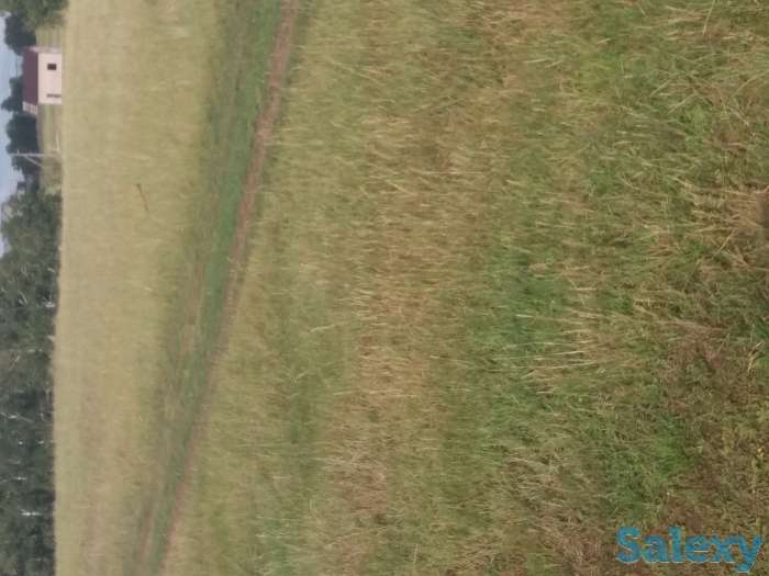 Продам участок 10 соток в боровом, фотография 1