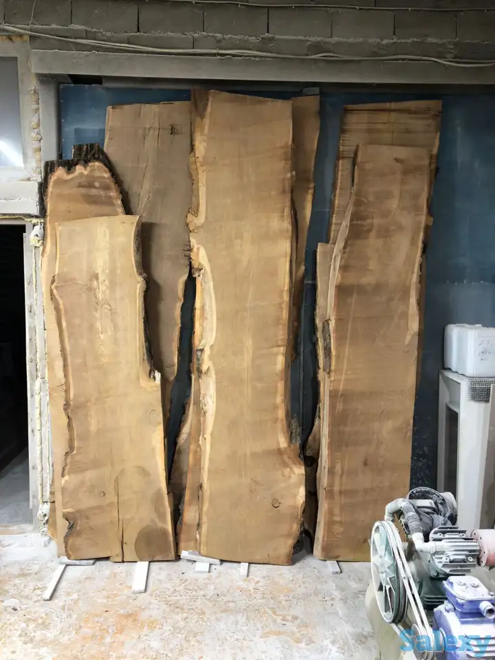 Слеб карагач., фотография 10