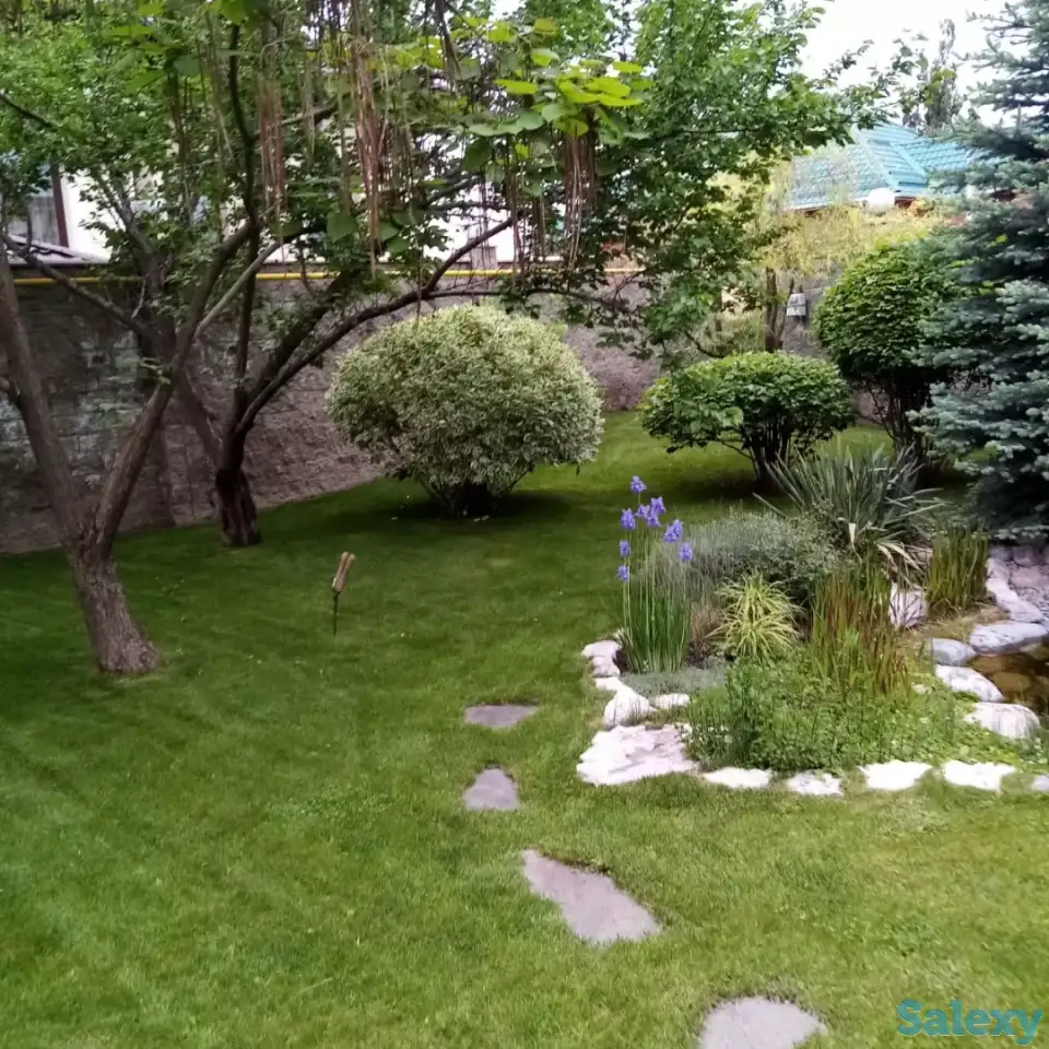 Садовник Каскелен, фотография 5