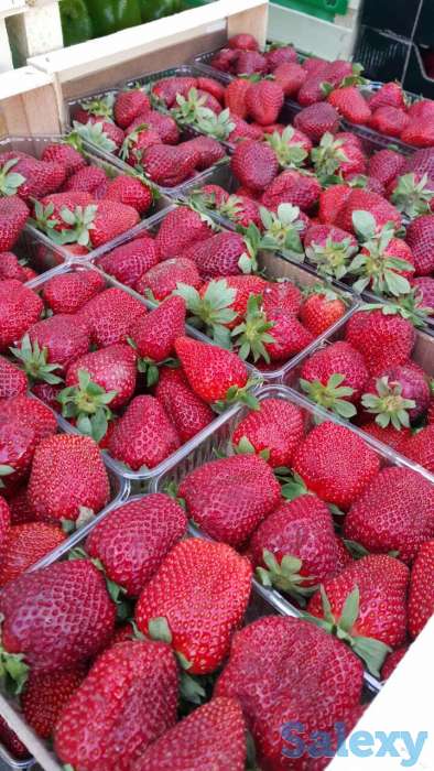 Клубника оптом и в розницу, фотография 2
