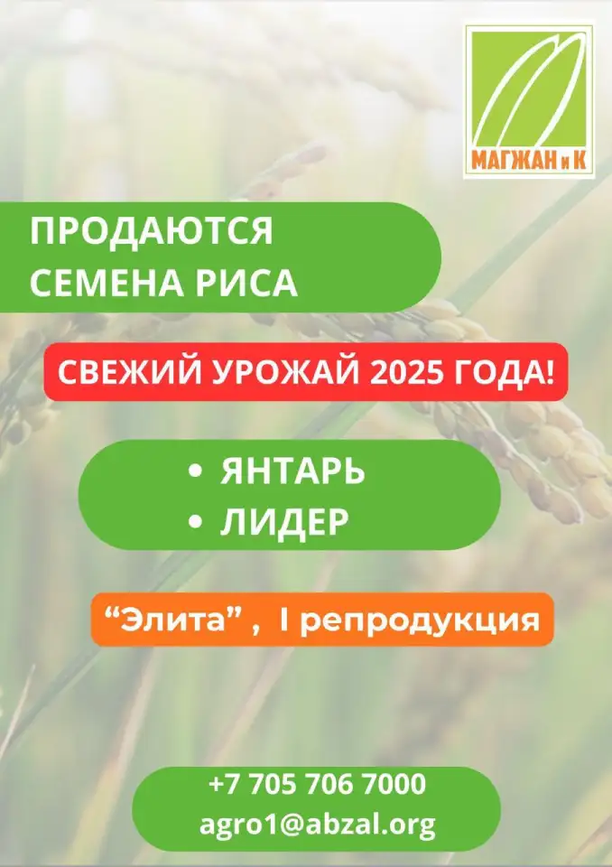 Люцерна, фотография 4