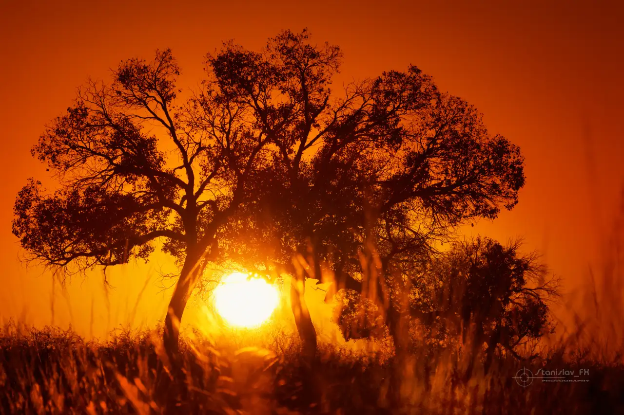 Фото и Видеосъёмка, фотография 11