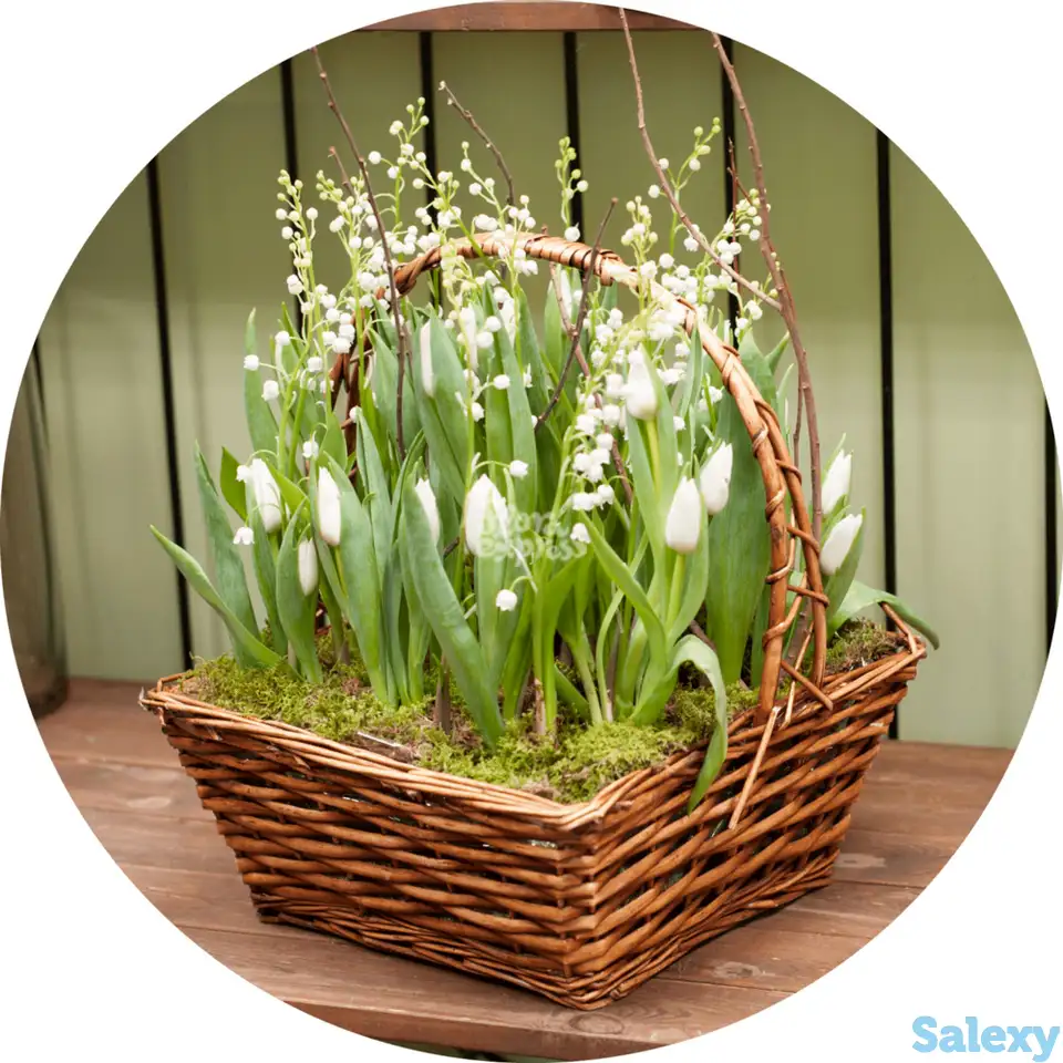 Букет «flora express», фотография 1