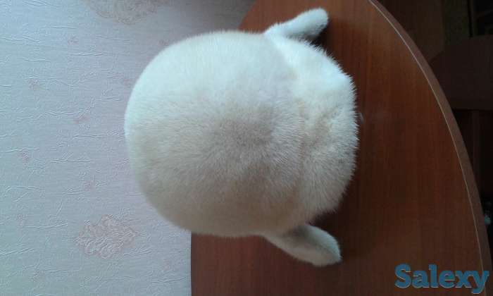 Продам шапка норковая б\у в хорошем, фотография 2