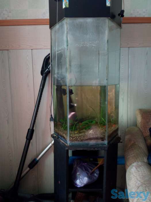 Продам стильный аквариум, фотография 1