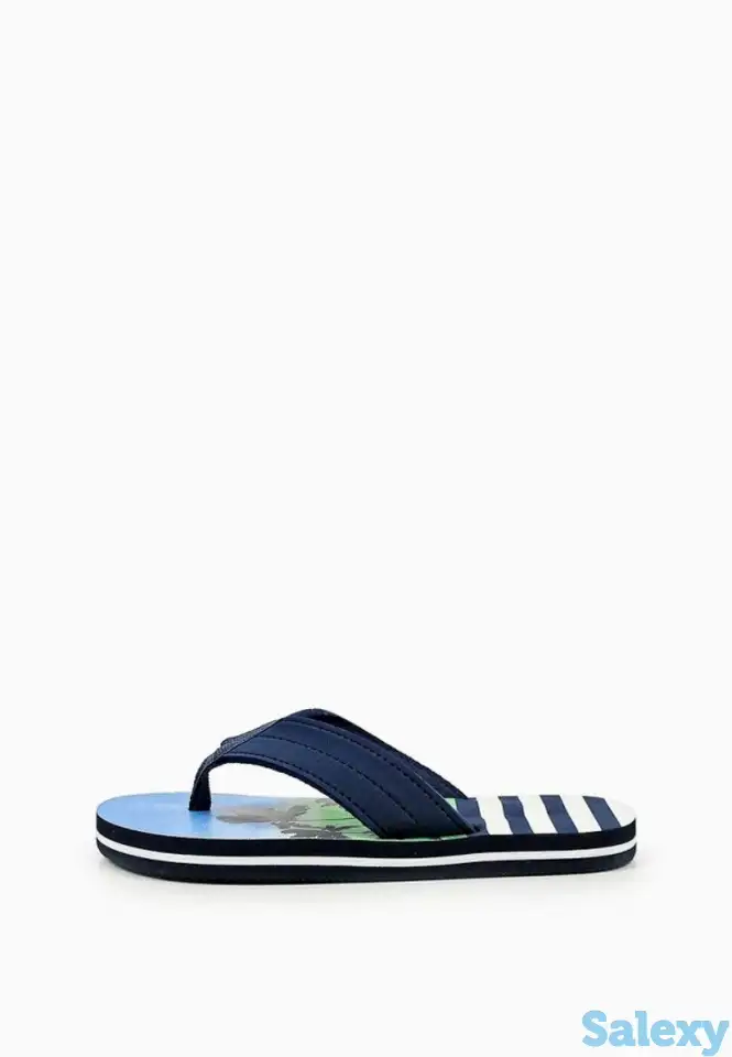 Сланцы t.taccardi, фотография 2