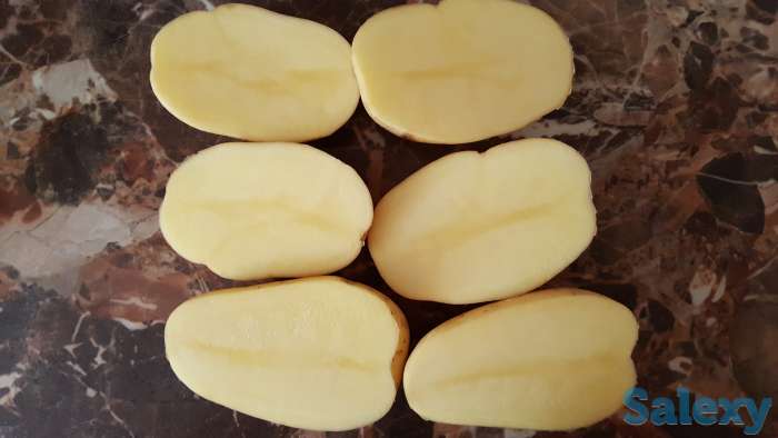 Картофель KRONE урожая 2017года оптом, фотография 1