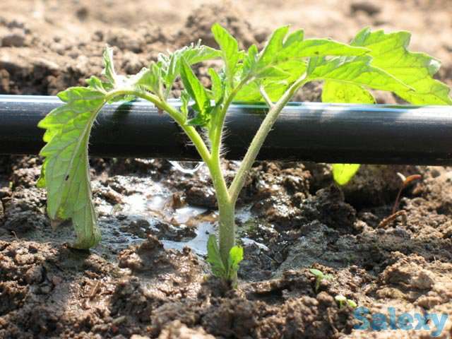 Капельный полив. Набор 