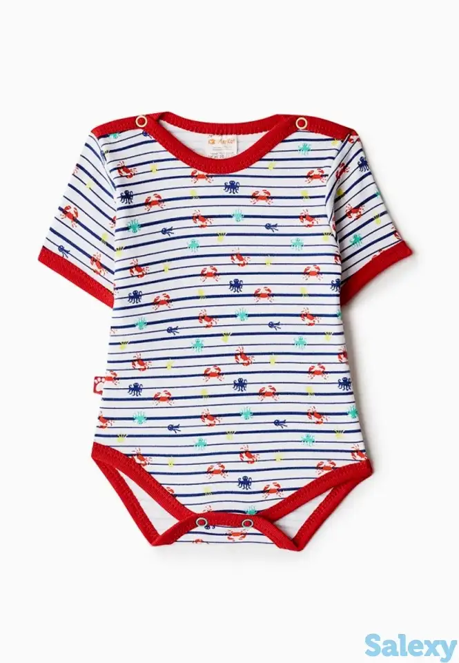 Боди котмаркот, фотография 1