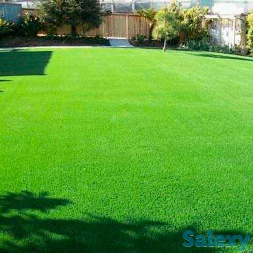 Озеленение, фотография 3