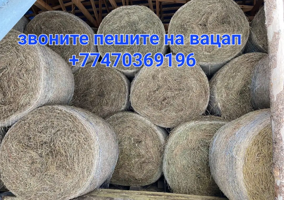 Сено рулоны 300-320 кг, фотография 1