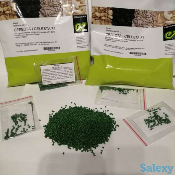 Семена Кокшетау, фотография 10