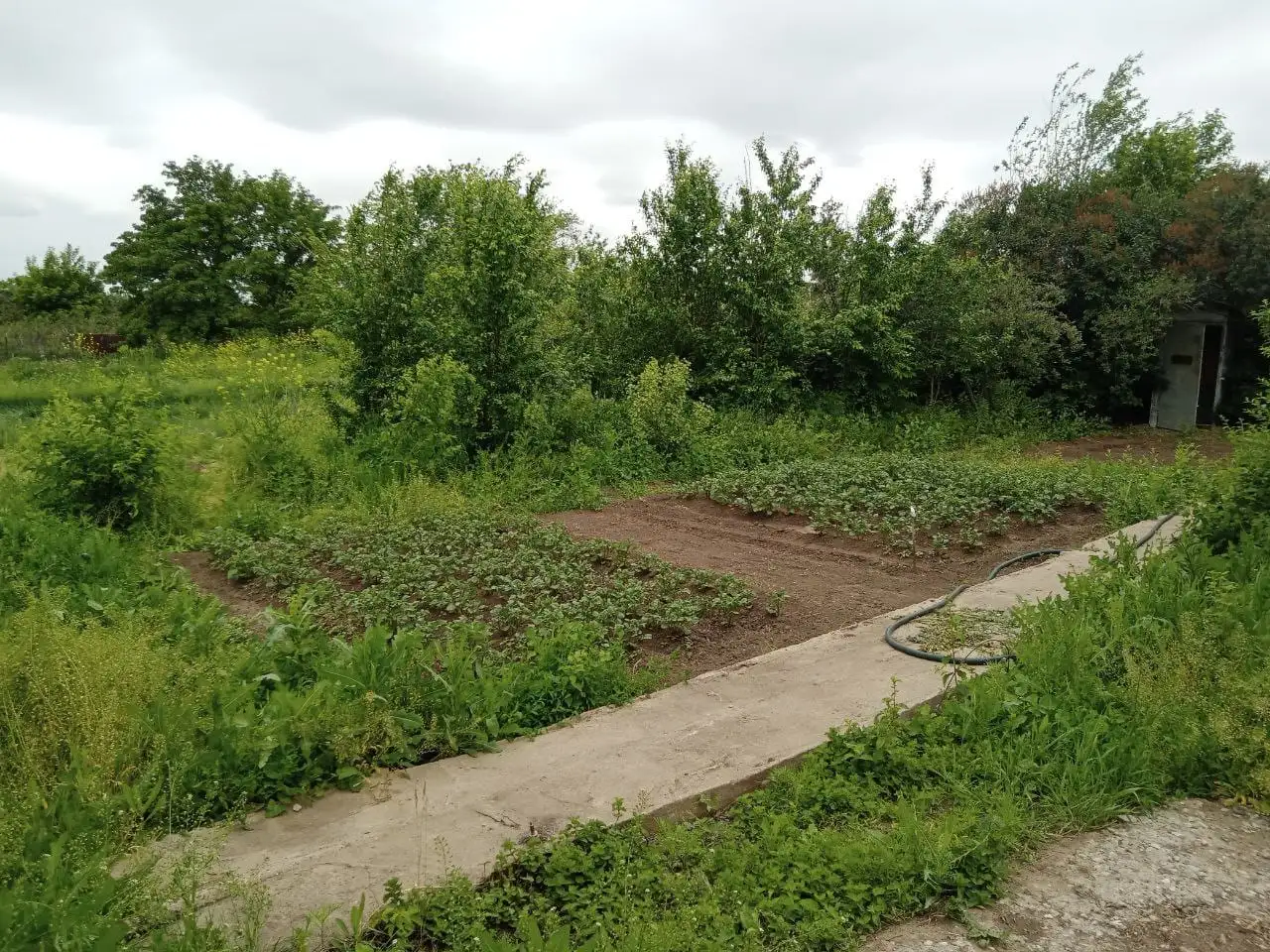 СРОЧНО ПРОДАМ ДАЧУ, СК Мелиоратор, фотография 5