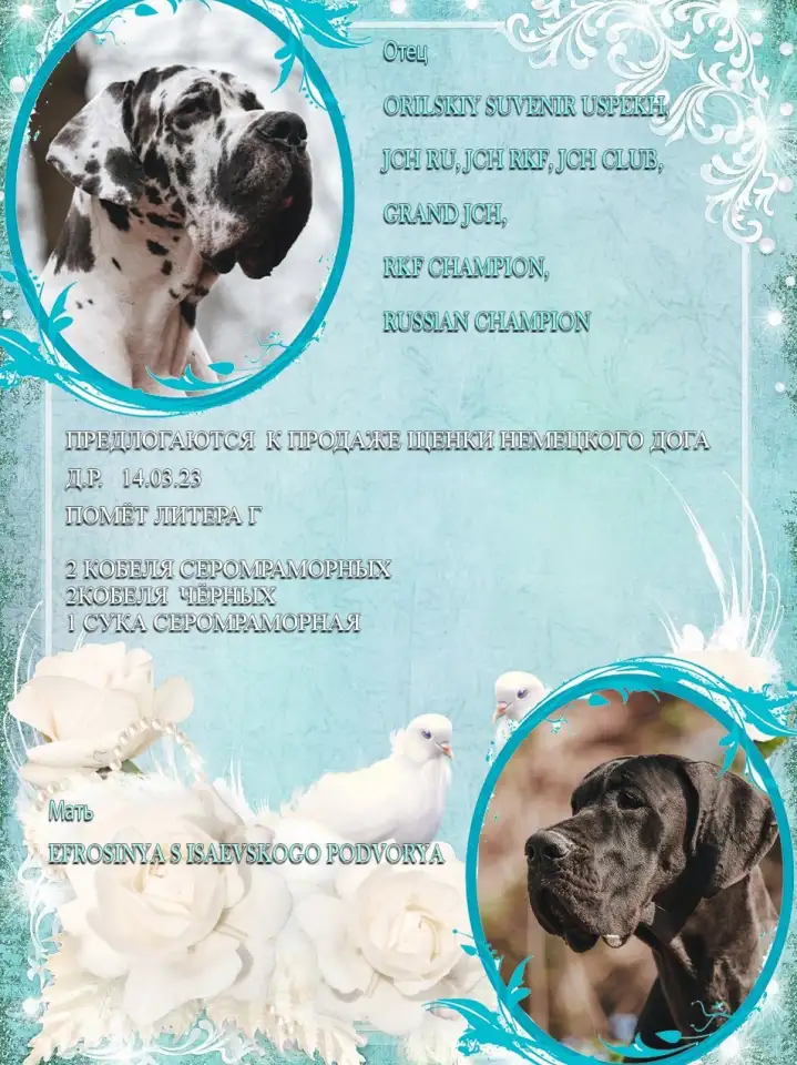 Продажа, фотография 1