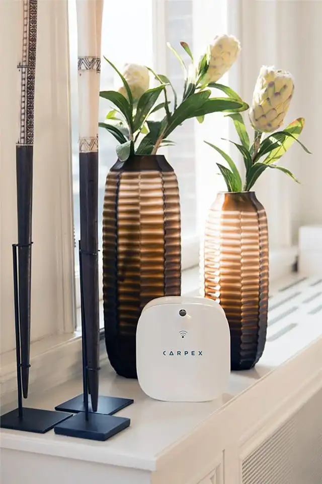 Ароматизатор Carpex окружающий, фотография 12