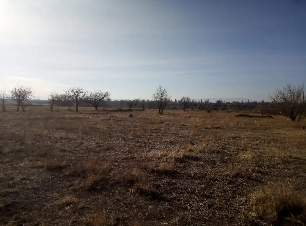 Продам, Дачное сообщество Каратал, фотография 1