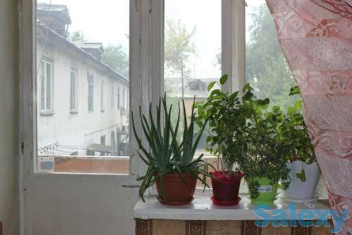 Продам 2-х комнатную квартиру, ул. Брусиловского д. 281А, фотография 5