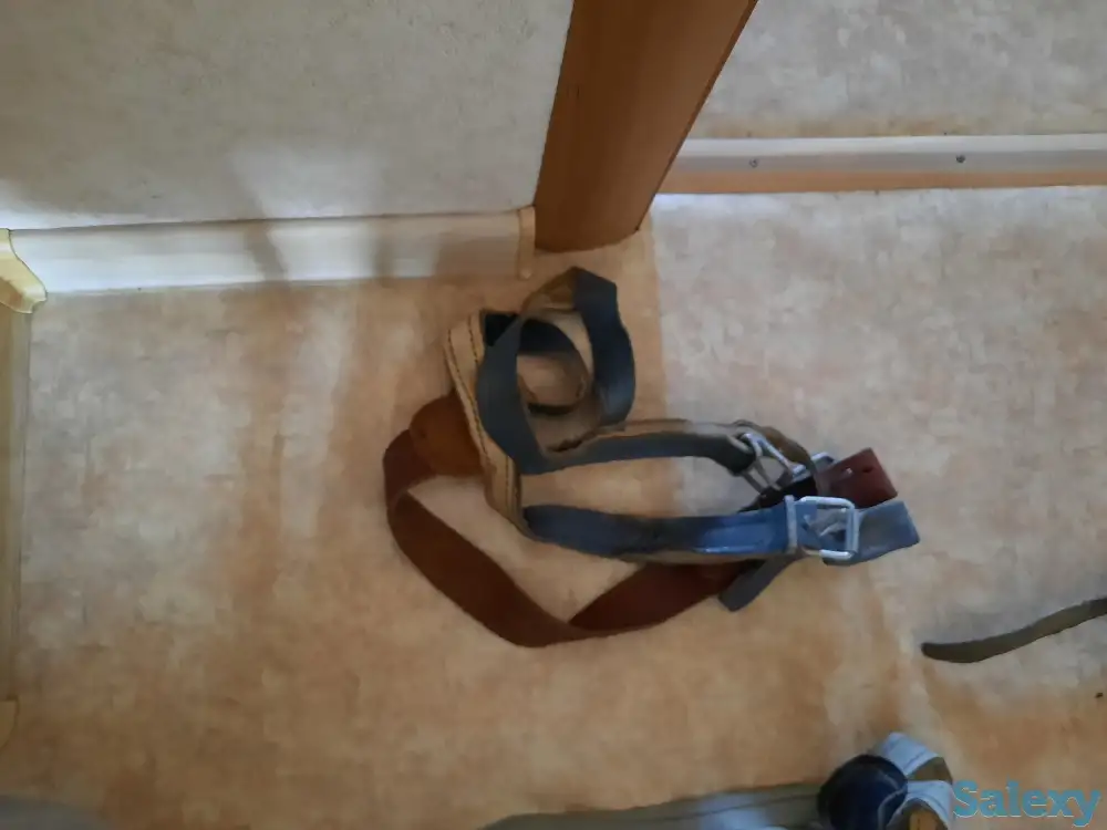 Жүген,ноқта, құлақбау, құйысқан , өмілдірік, фотография 3