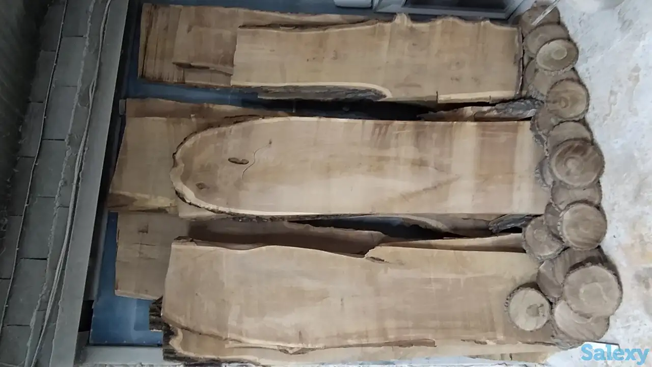 Слеб карагач., фотография 7